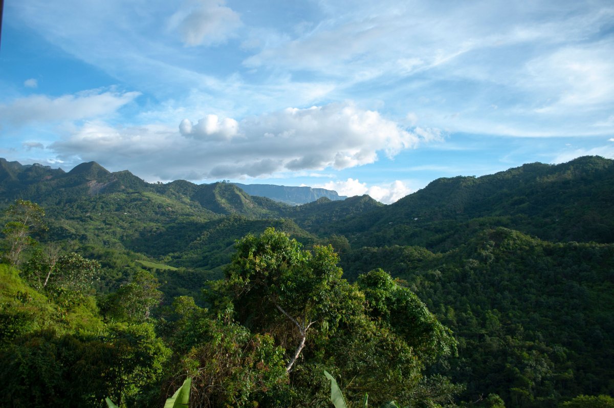 La Vega